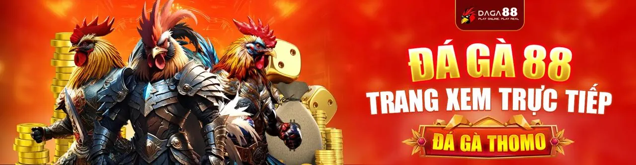 rr88bet nhà cái blog với các bài viết chuyên sâu về cá cược thể thao và giải trí trực tuyến
